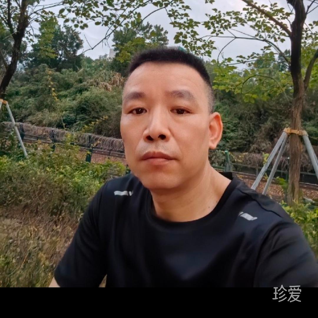 双木成林