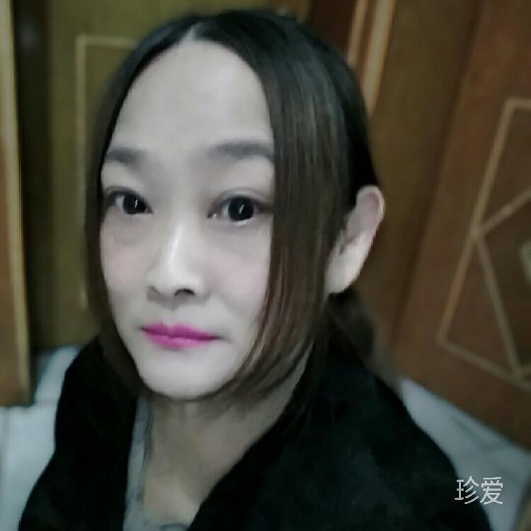 淡雅如菊