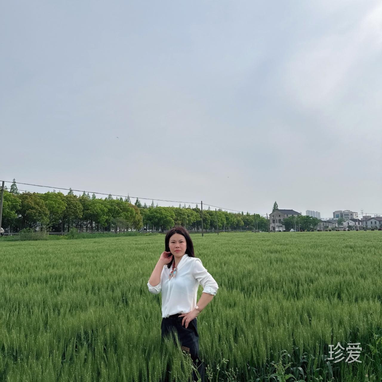 雨花石