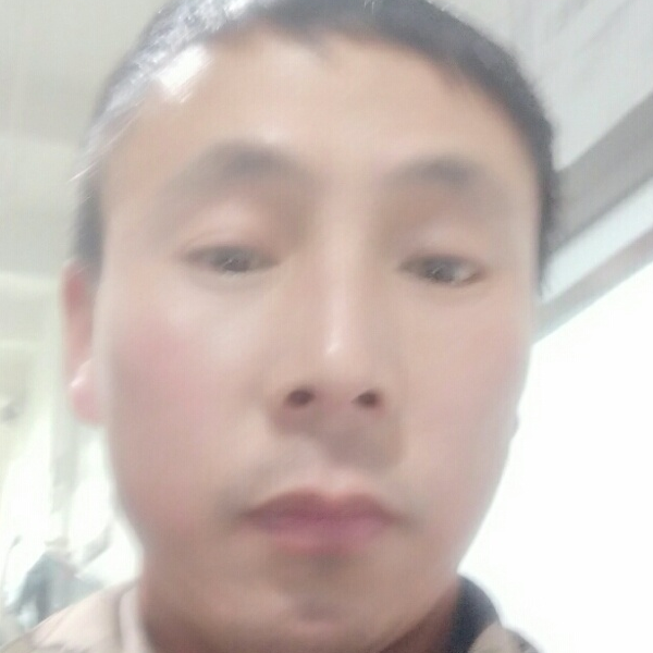司令