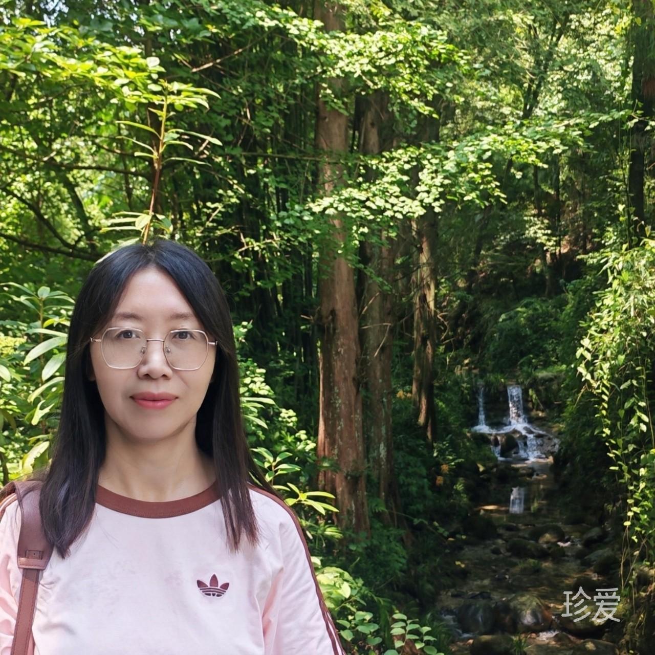 叶子会飞