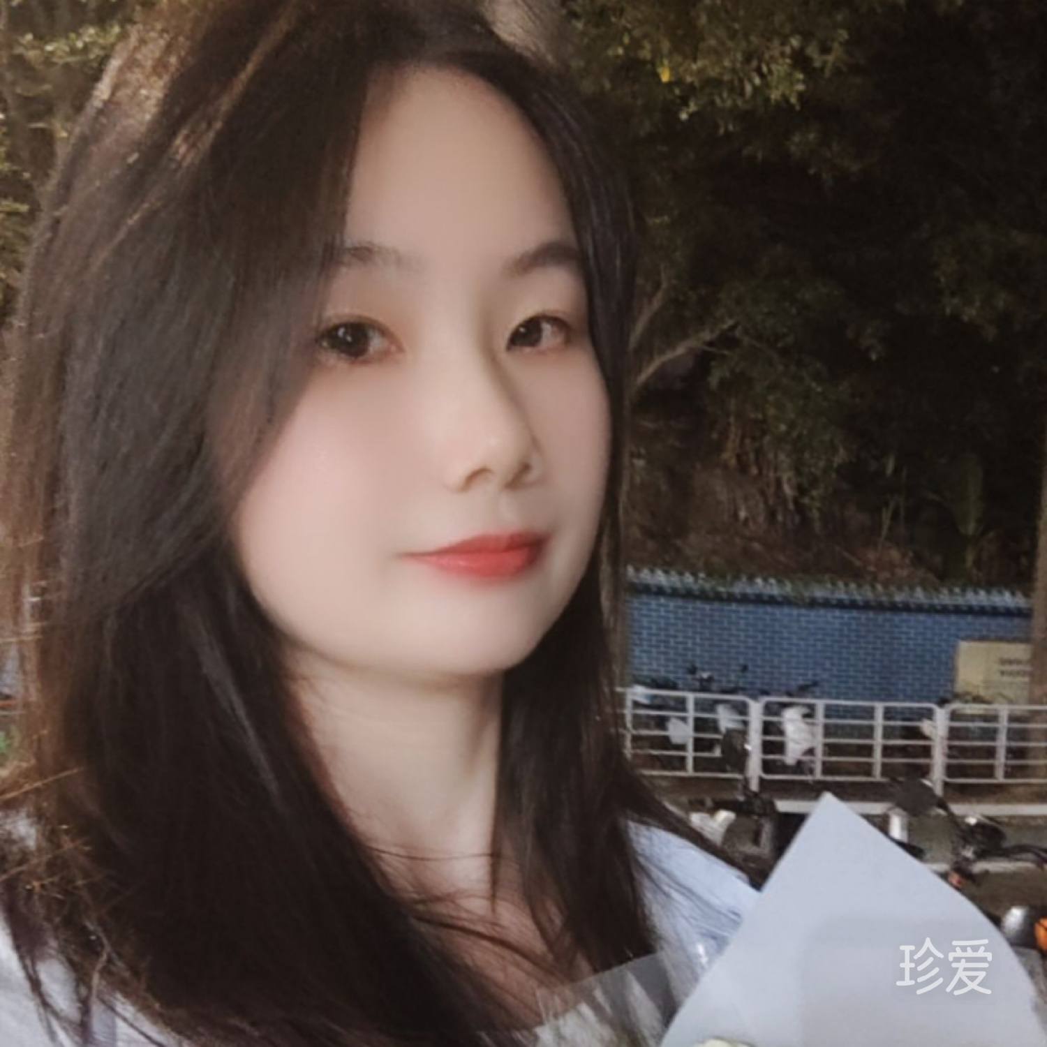 一朵向阳的花