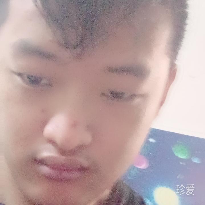 咕咕嘎嘎企鹅
