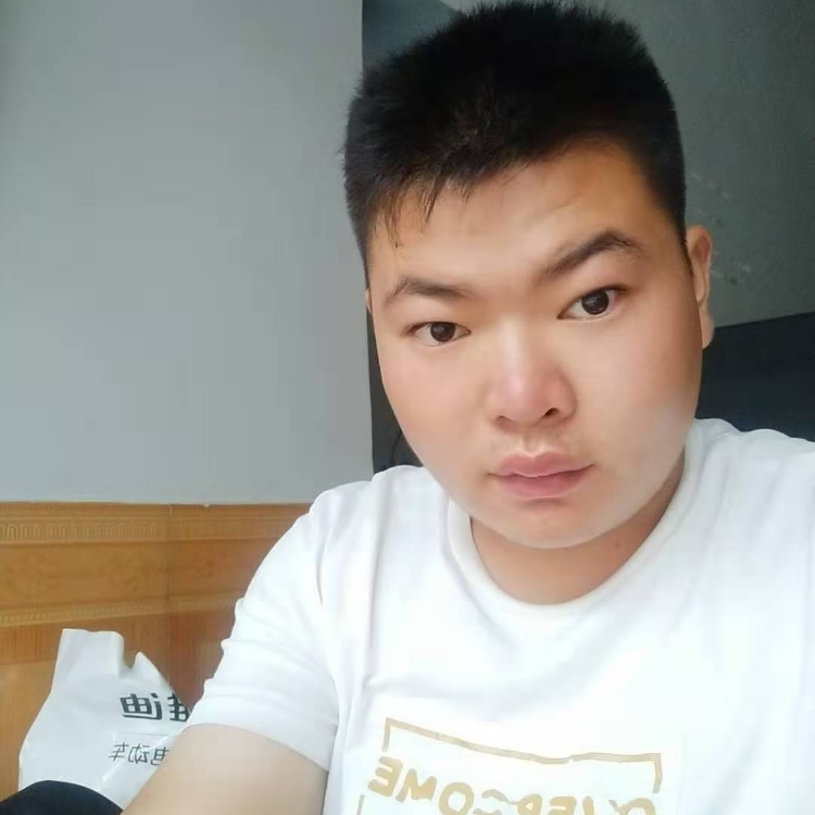 真真假假假假真真