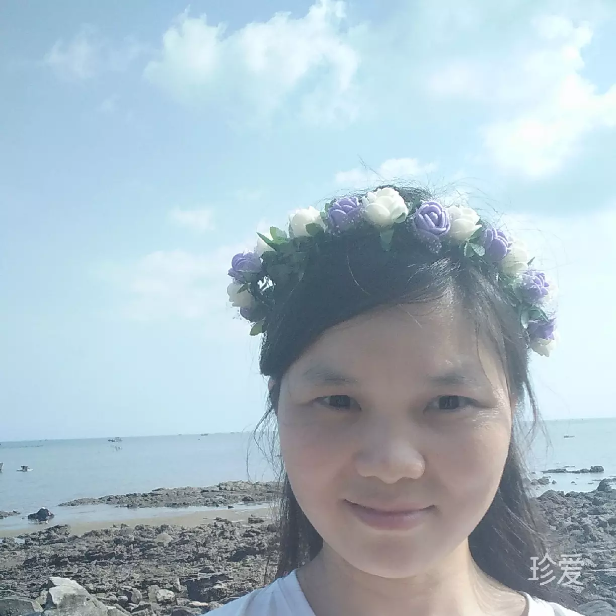 杨柳依依