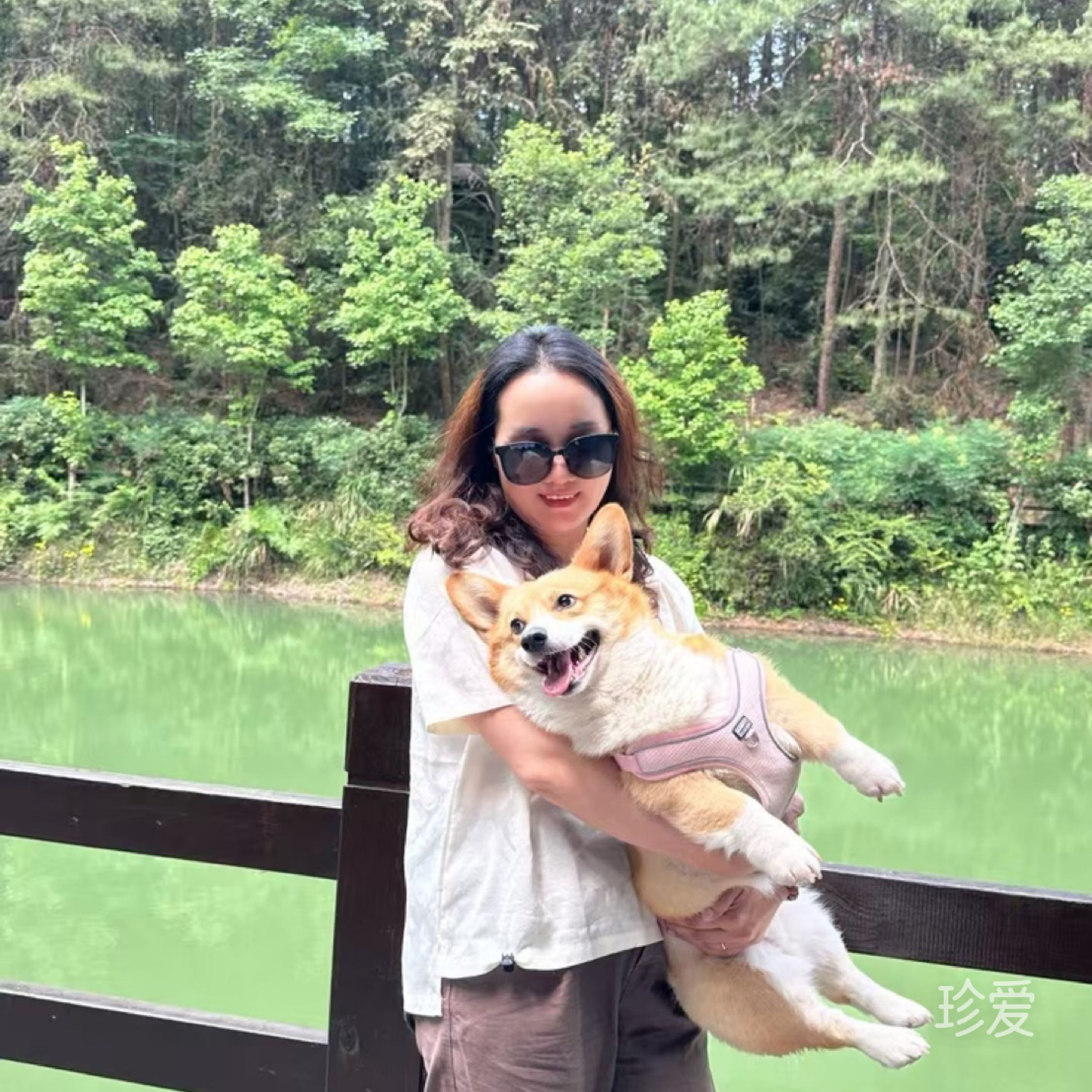 夏凉浮生半城雪