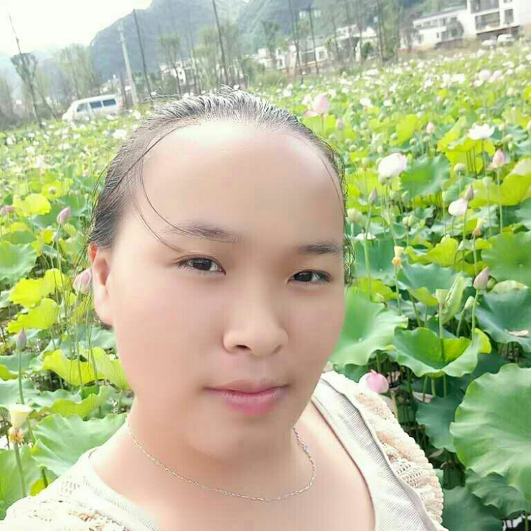 爱伸懒腰的猫