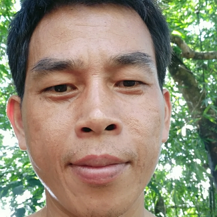 埋头苦干老陈二