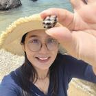 自由的魚