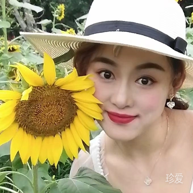 智智