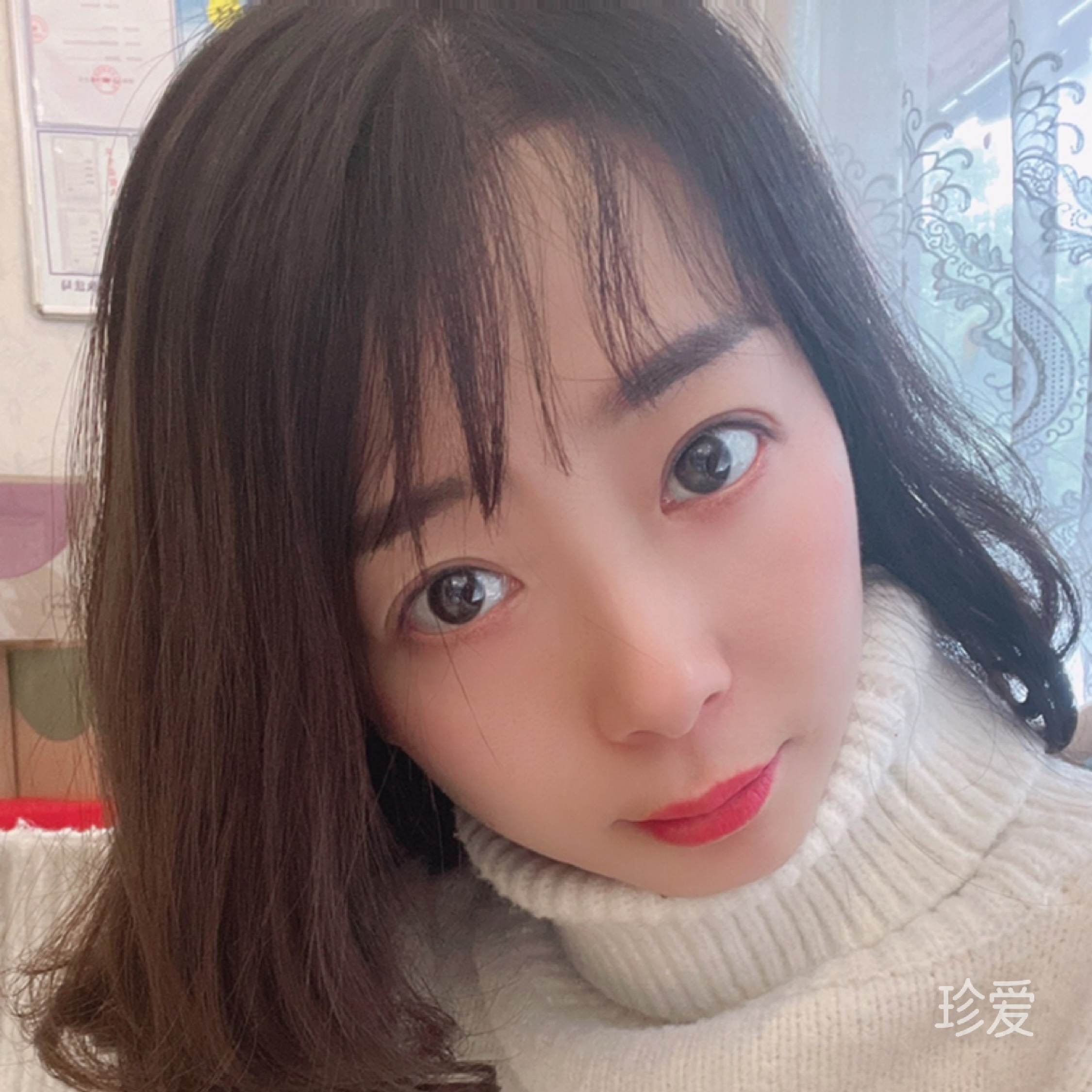 黏人的猫咪