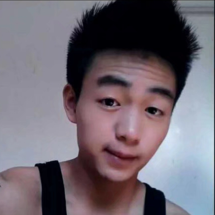 寻找花朵的小蜜蜂