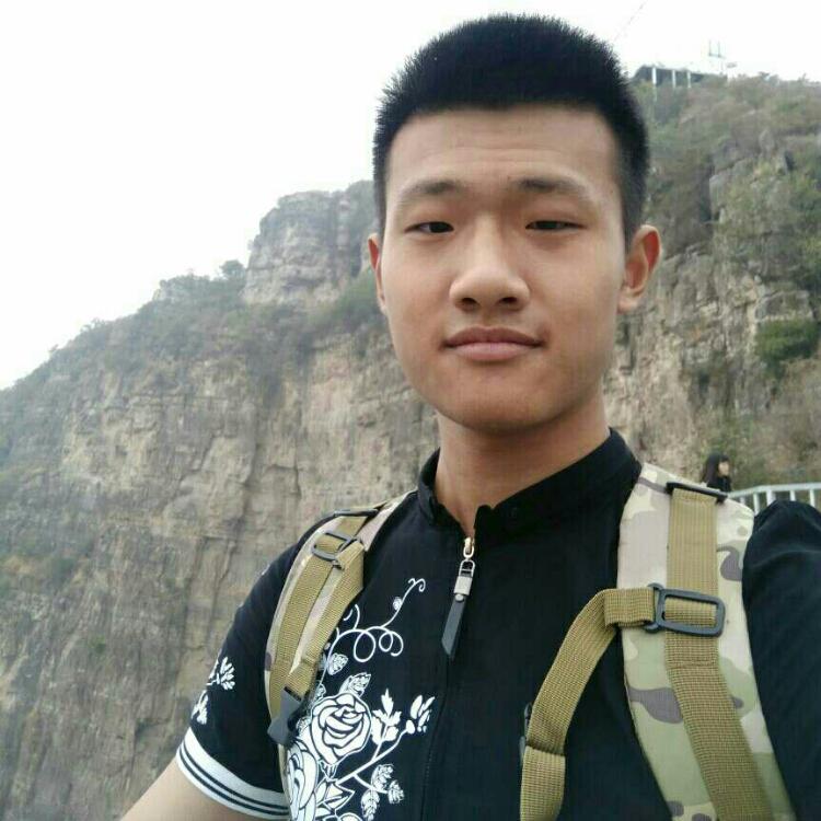 老實(shí)的小蜜蜂