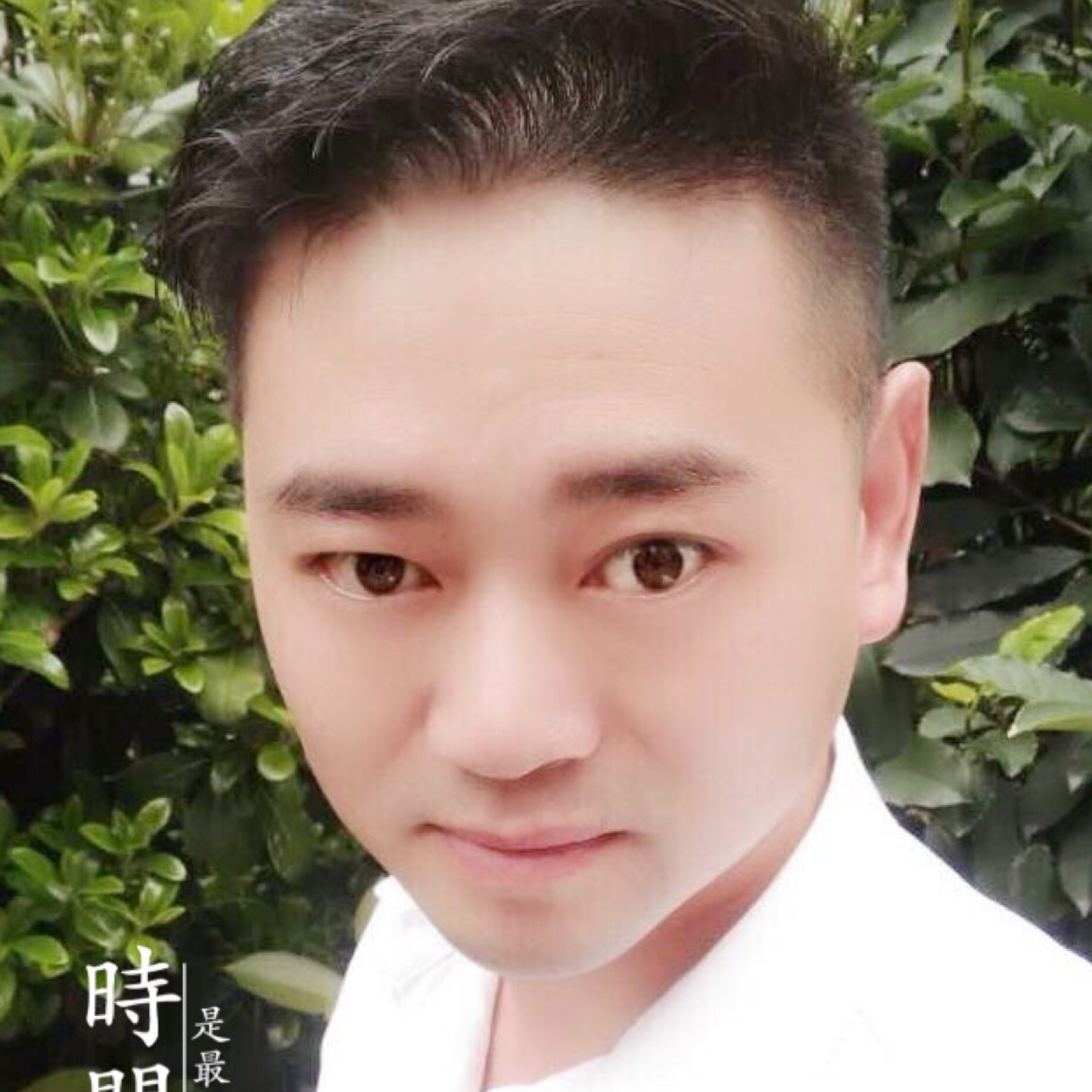 狐獨(dú)的風(fēng)