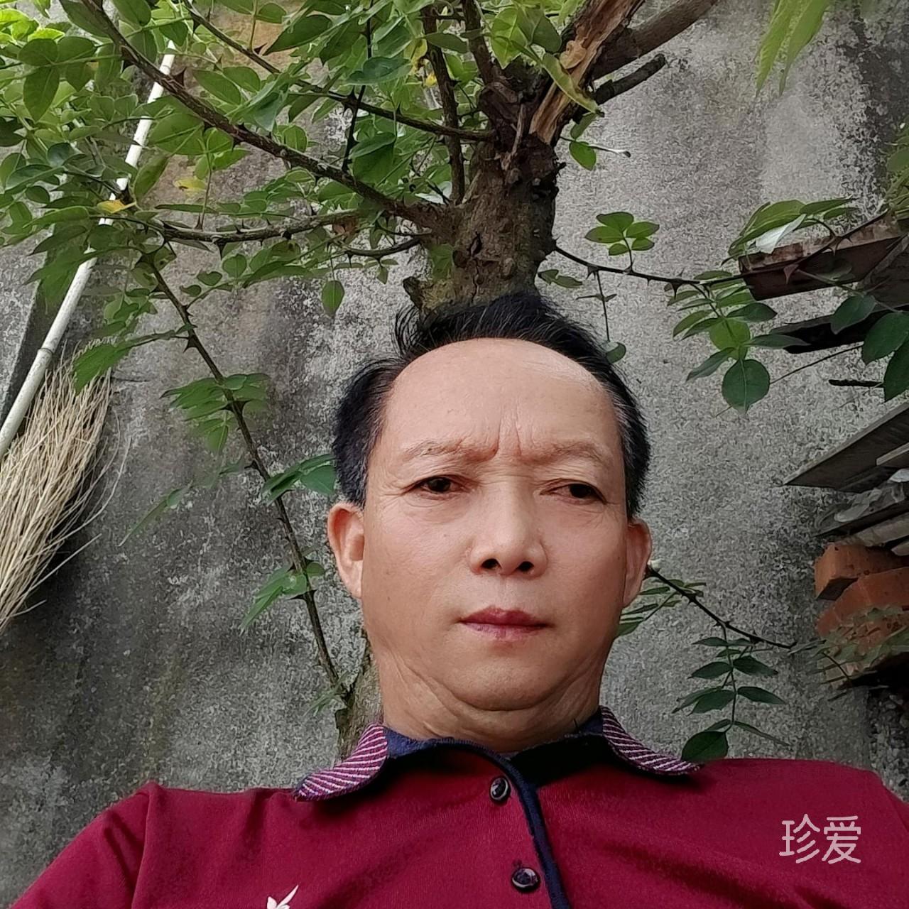 迷茫的记忆