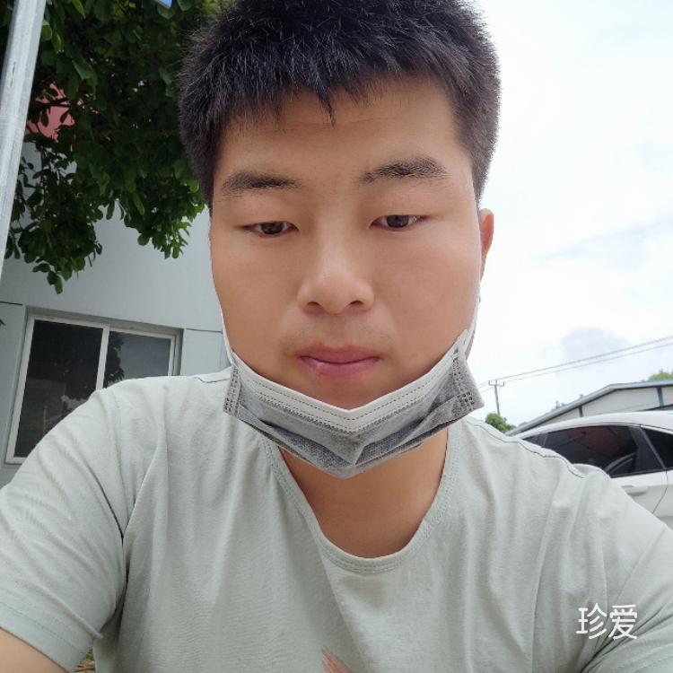 想和你一起旅游