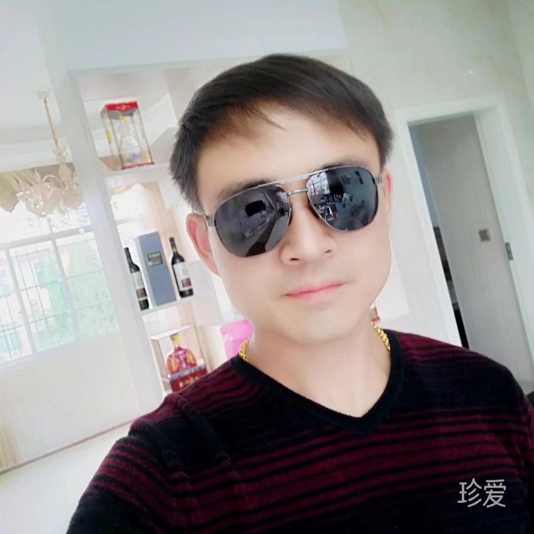 大漠孤雁