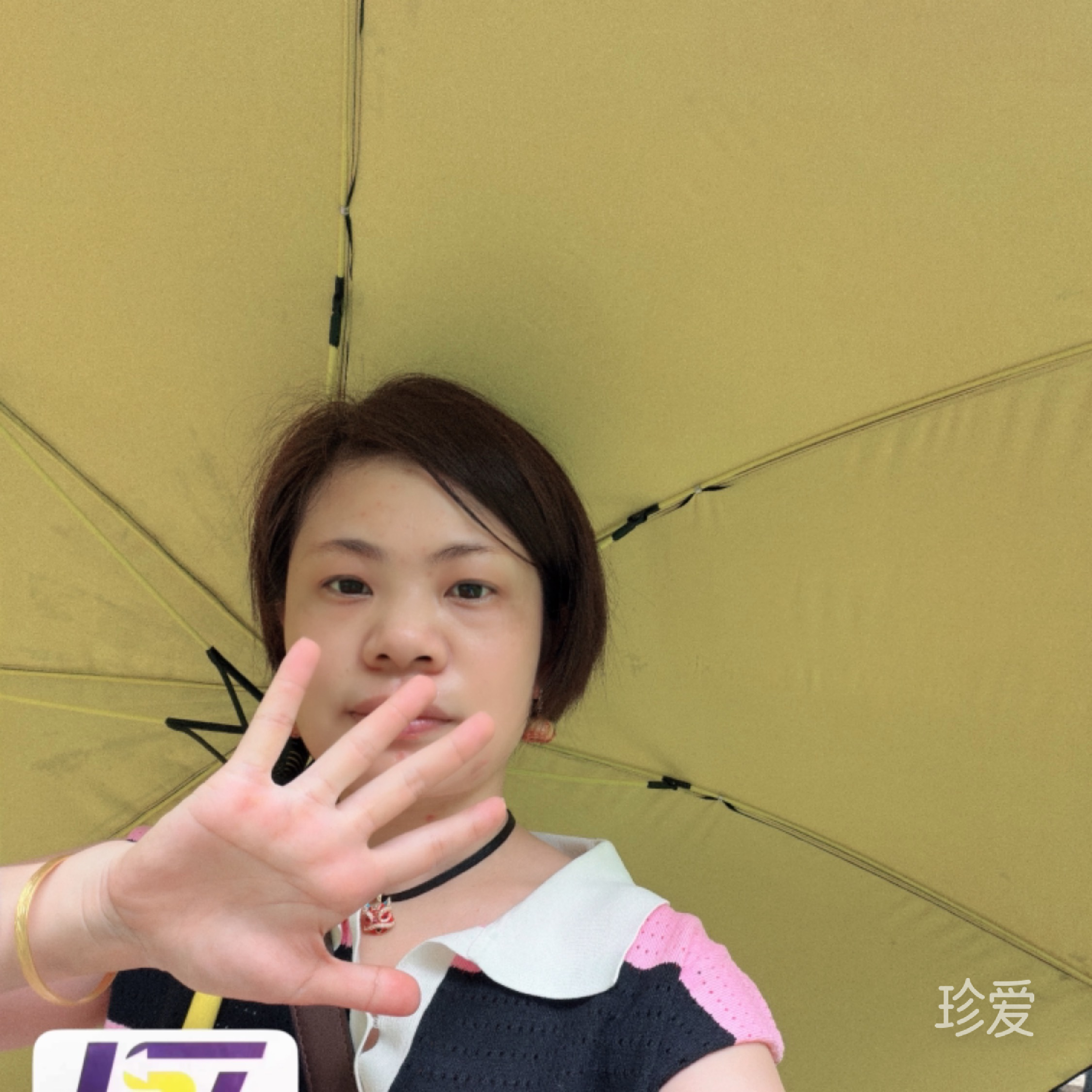 七七