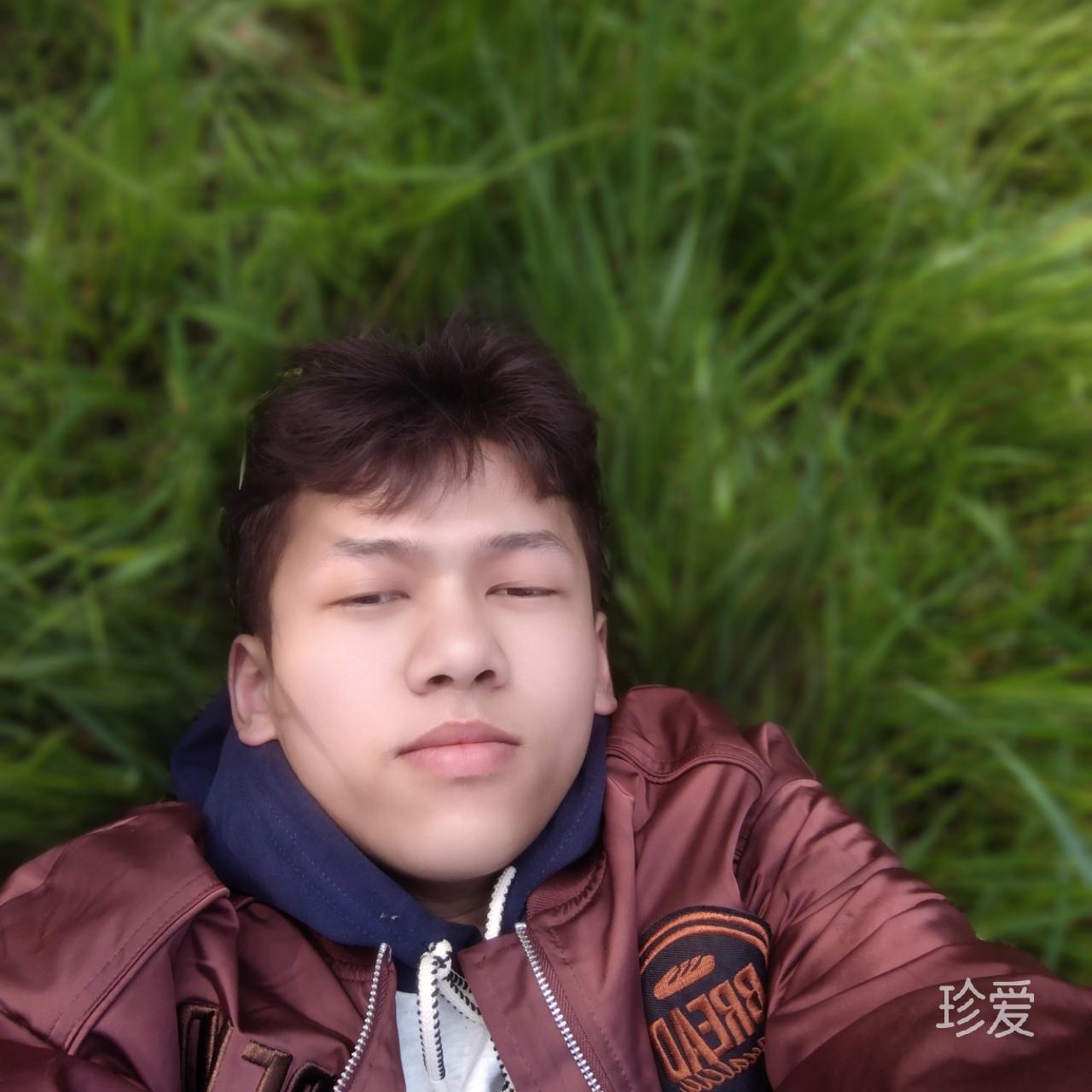 薇薇