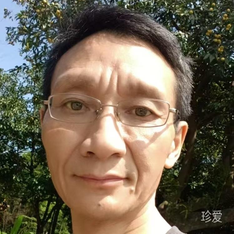 平淡而平凡