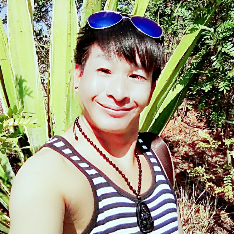 有个傻瓜在等你