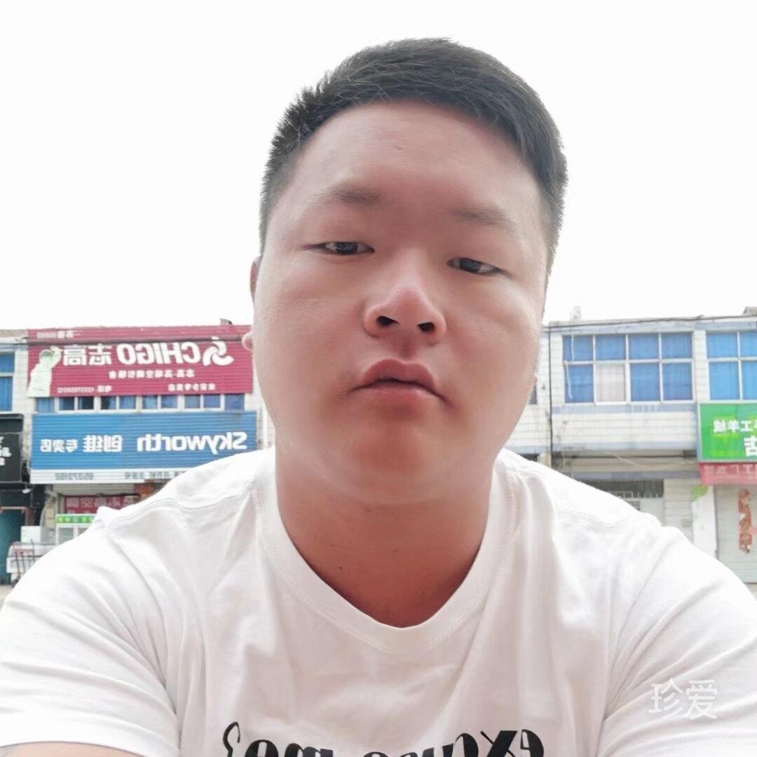 会飞的骆驼