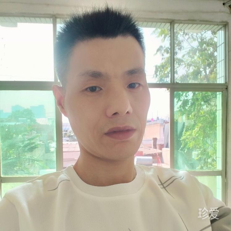 静有乾坤