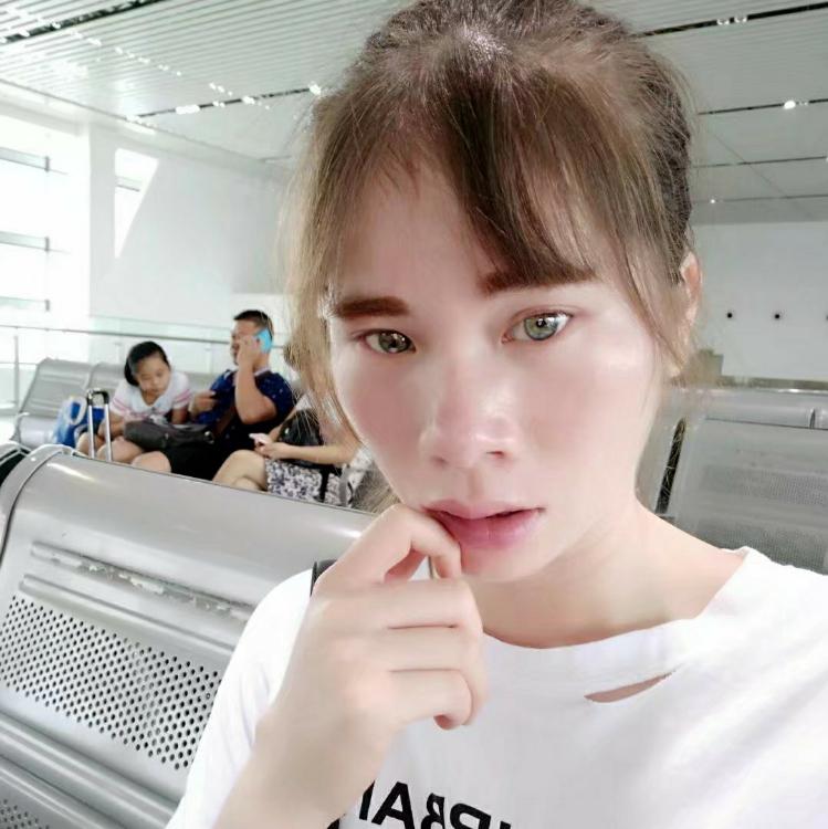 會飛的貓奈奈香子