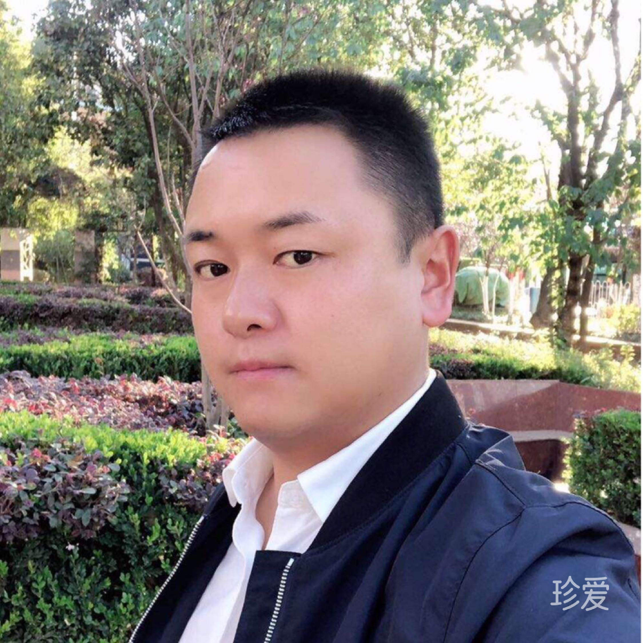 如风如影