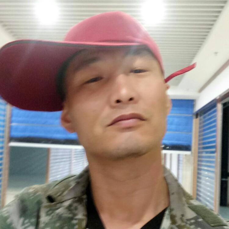 風(fēng)中的樹(shù)葉