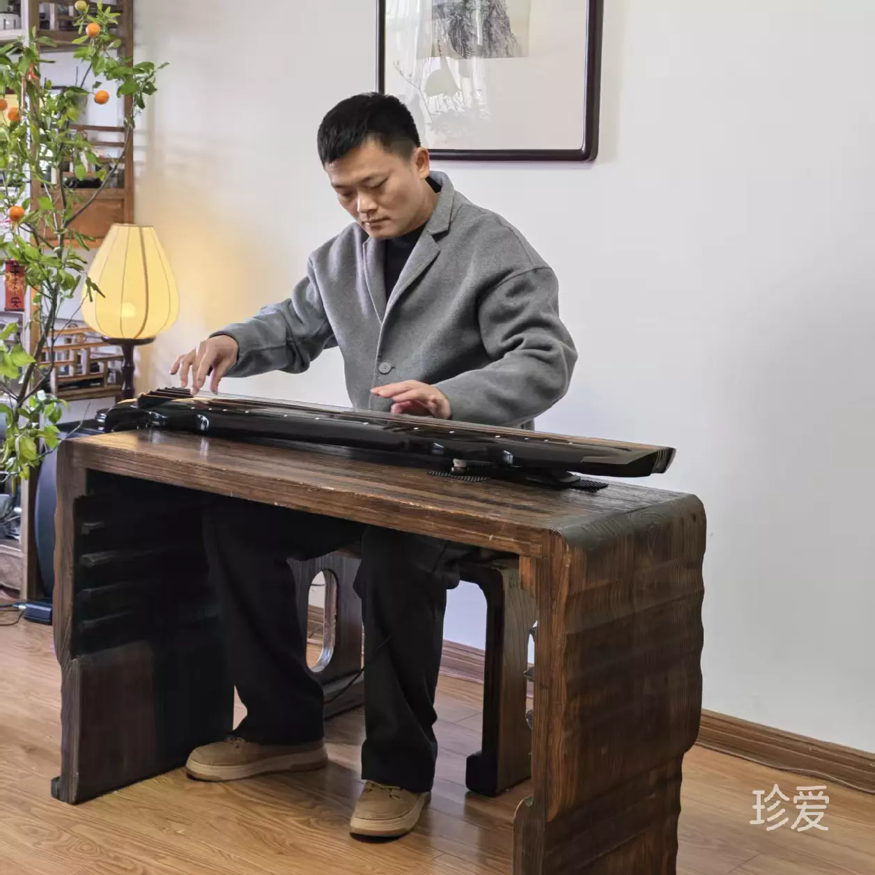 江山木