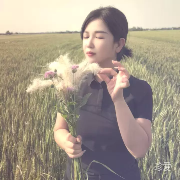 做你的小鸟依人
