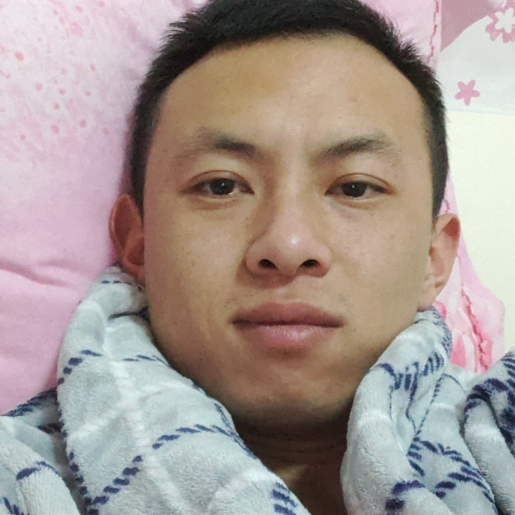 愿伊盼做梦中人