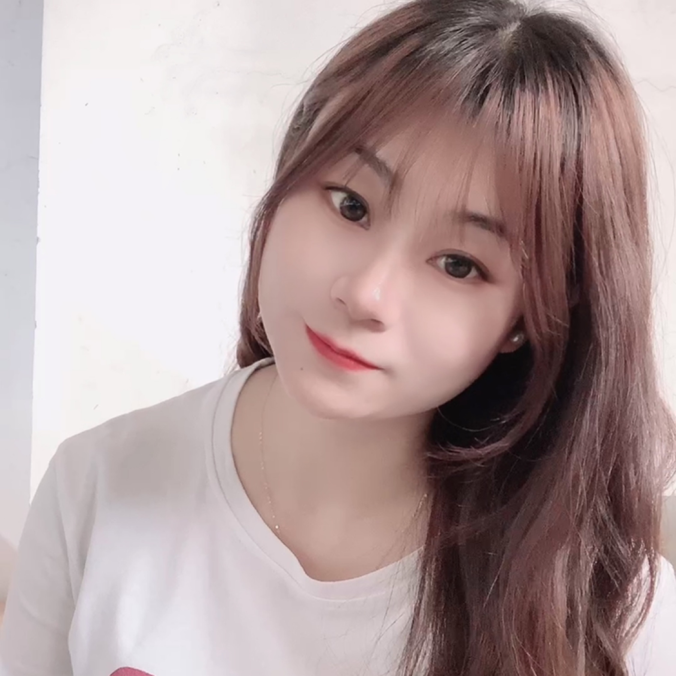 薰衣草之夢(mèng)