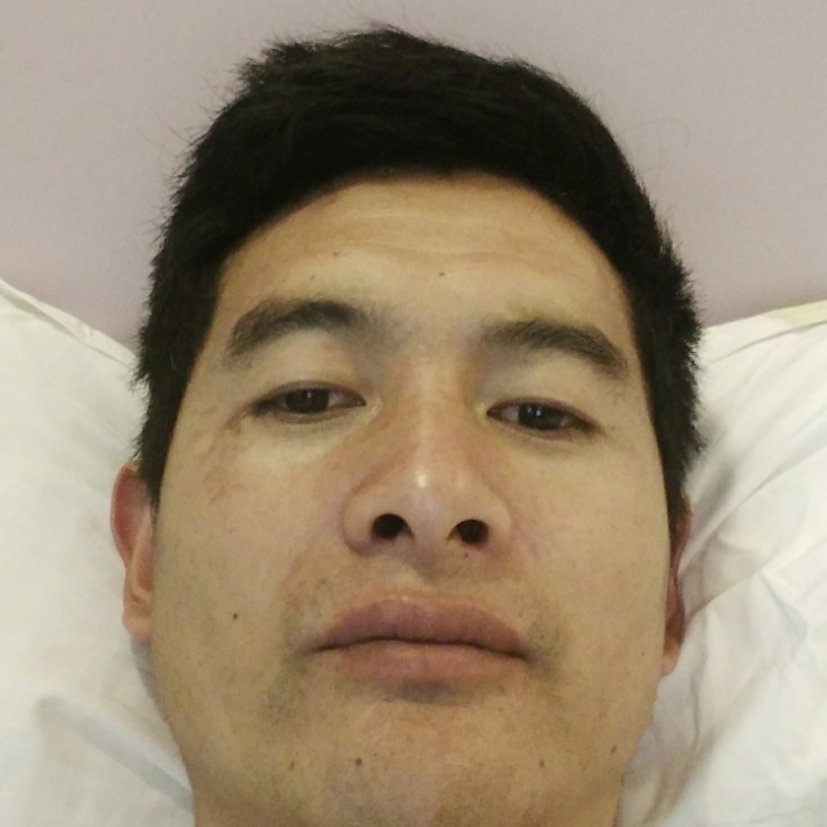 臥室里的小綿羊