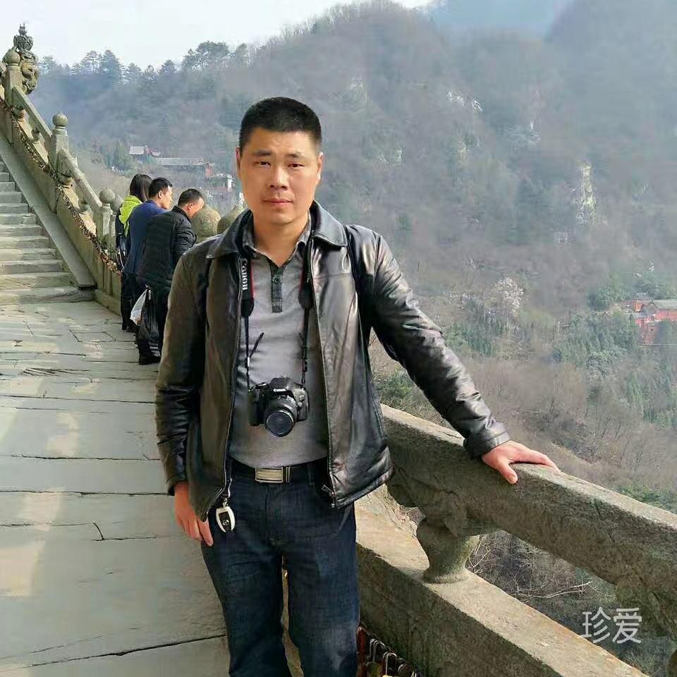 杨豪