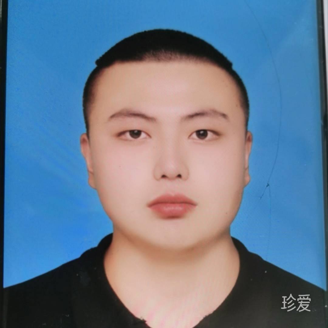 冬天的一片绿叶