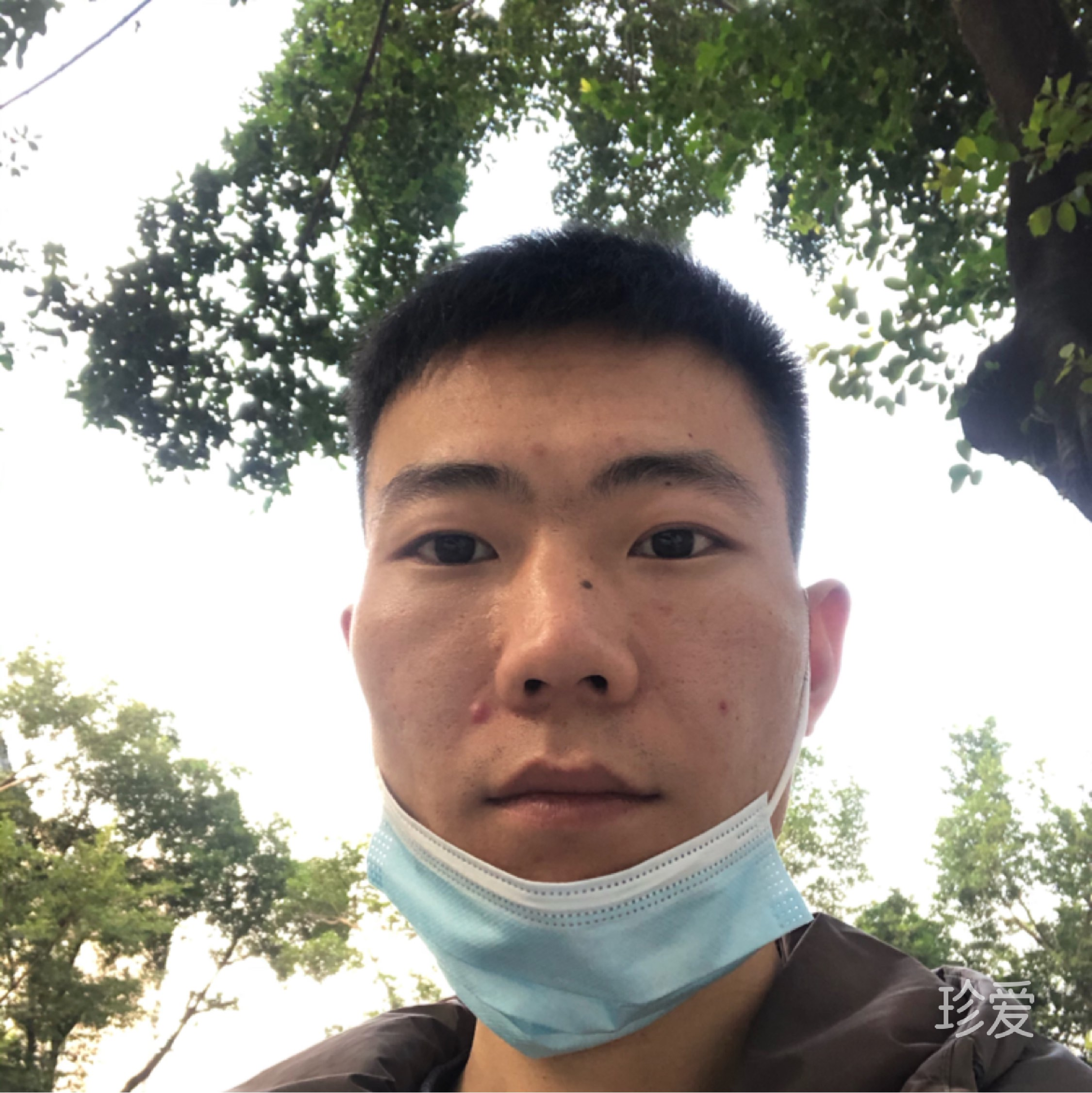 在人间凑数的日子