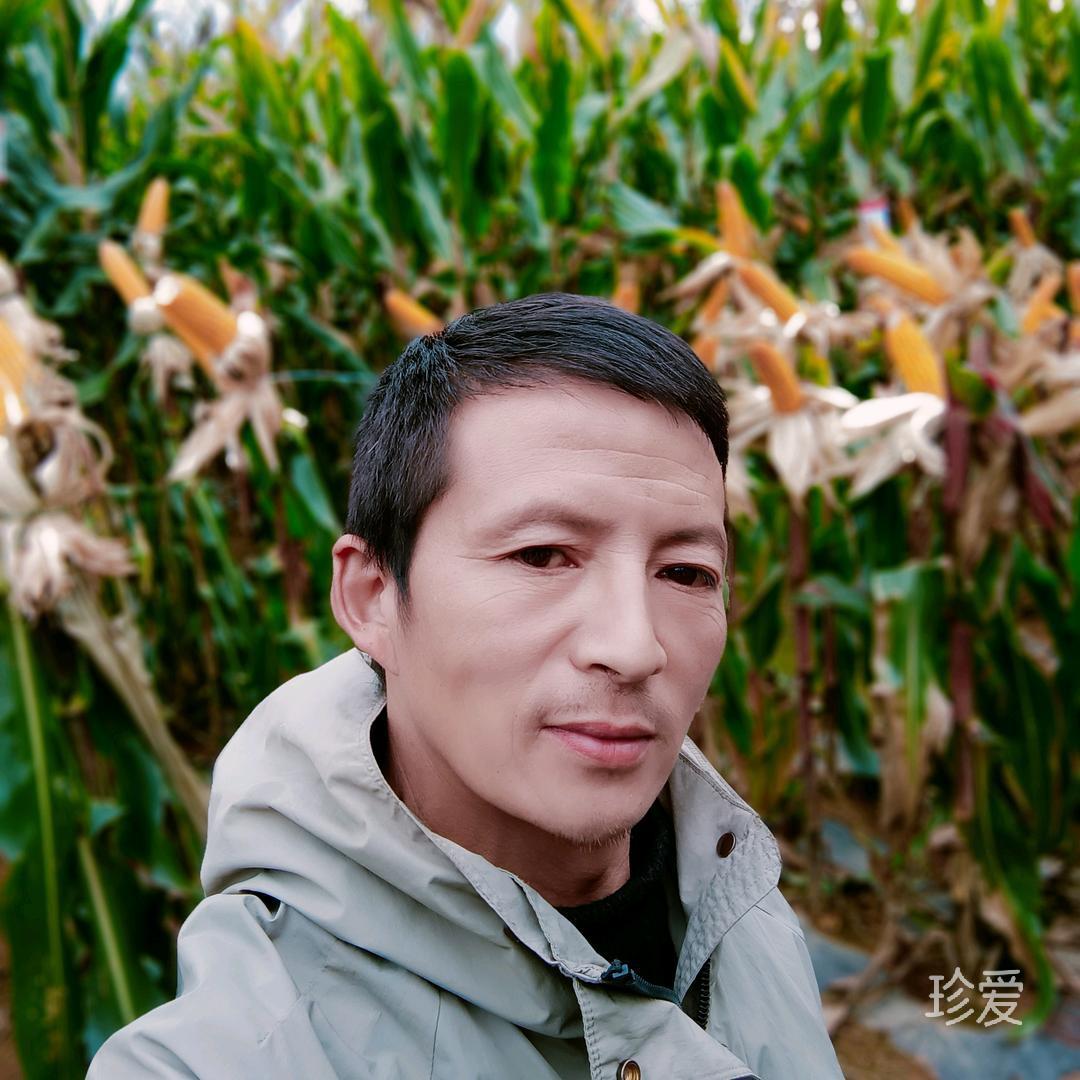 一颗心为谁画地为牢