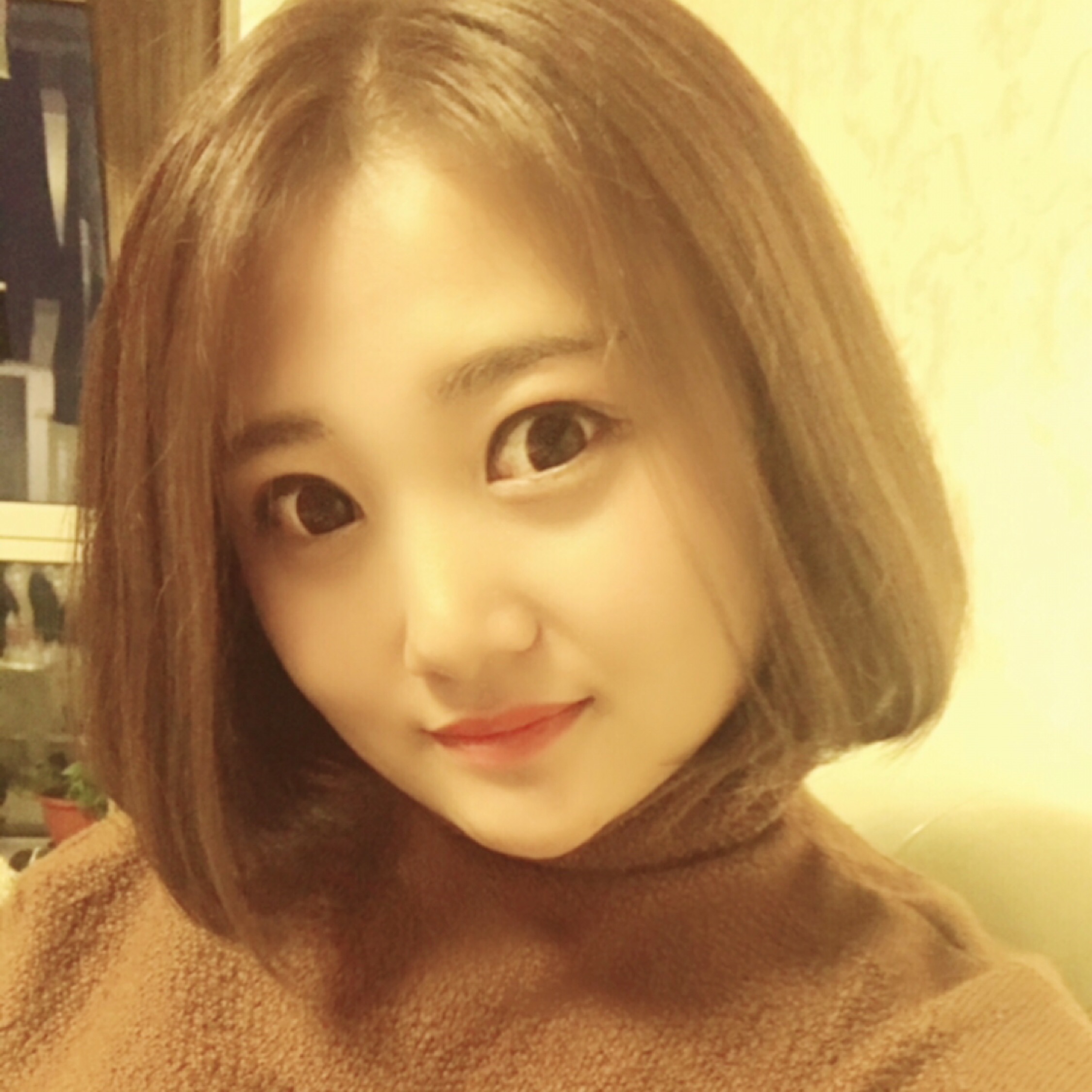 一只快乐的猴儿