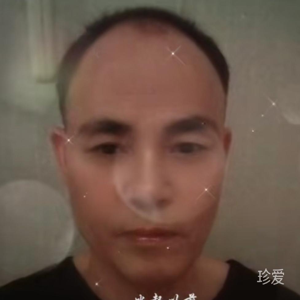 小鸟
