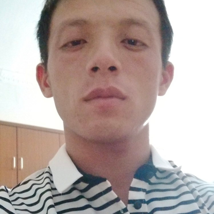 孤单的人孤单的歌