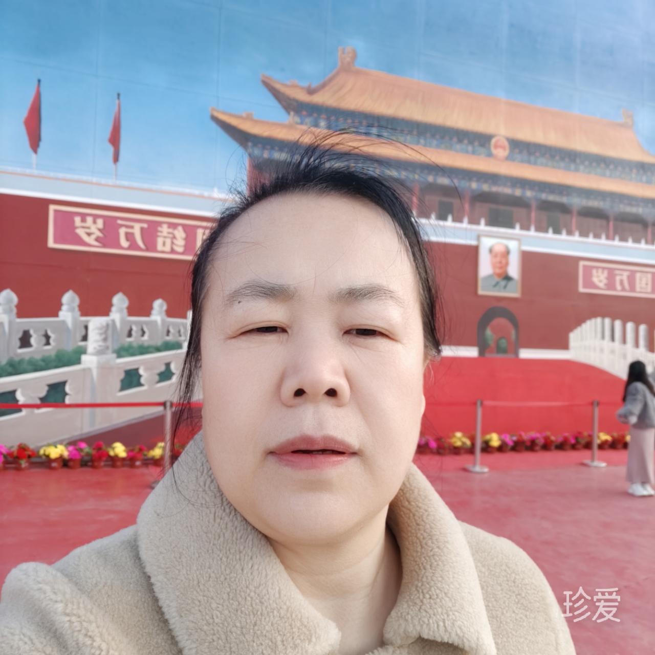 受伤的小猫咪
