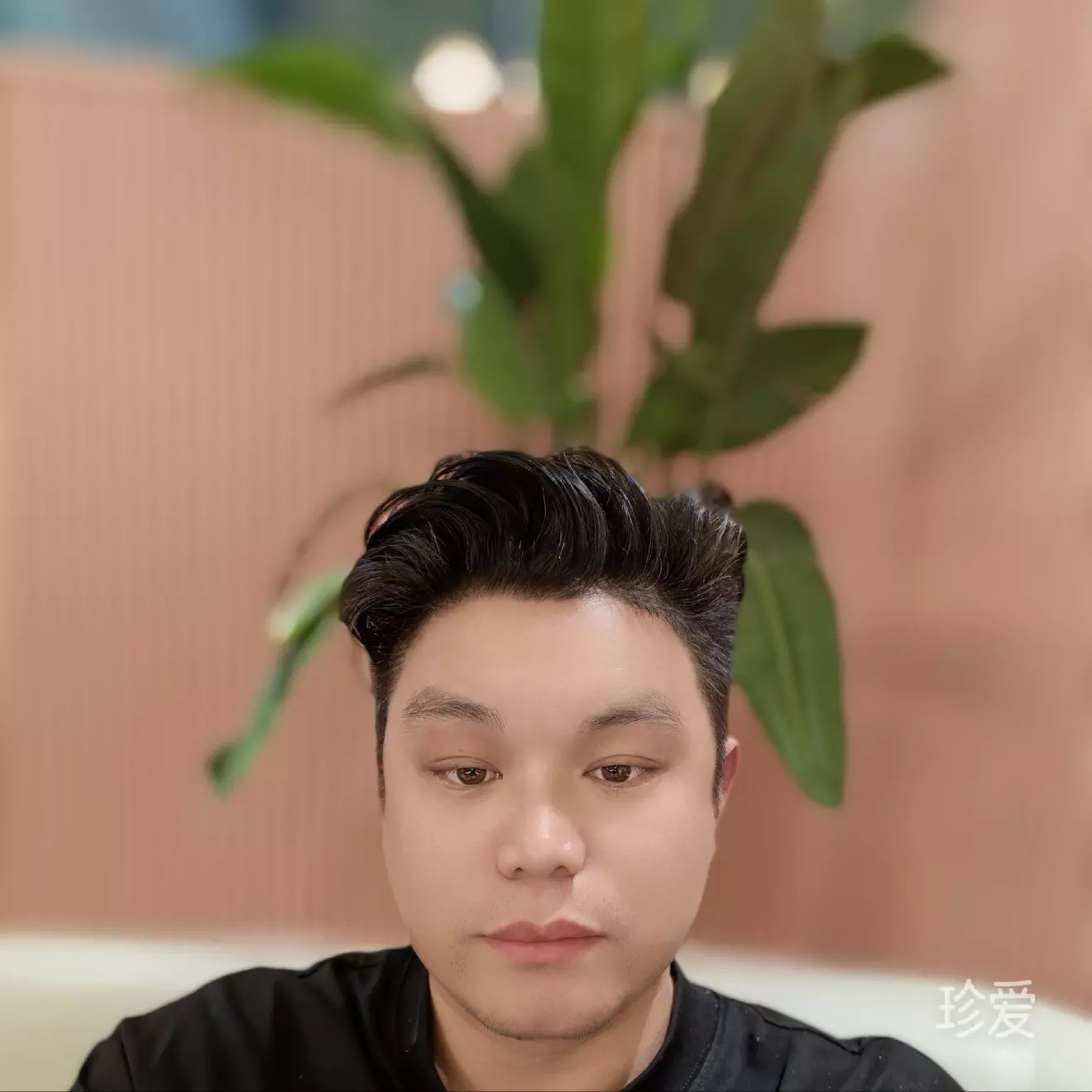 真诚寻找另一半