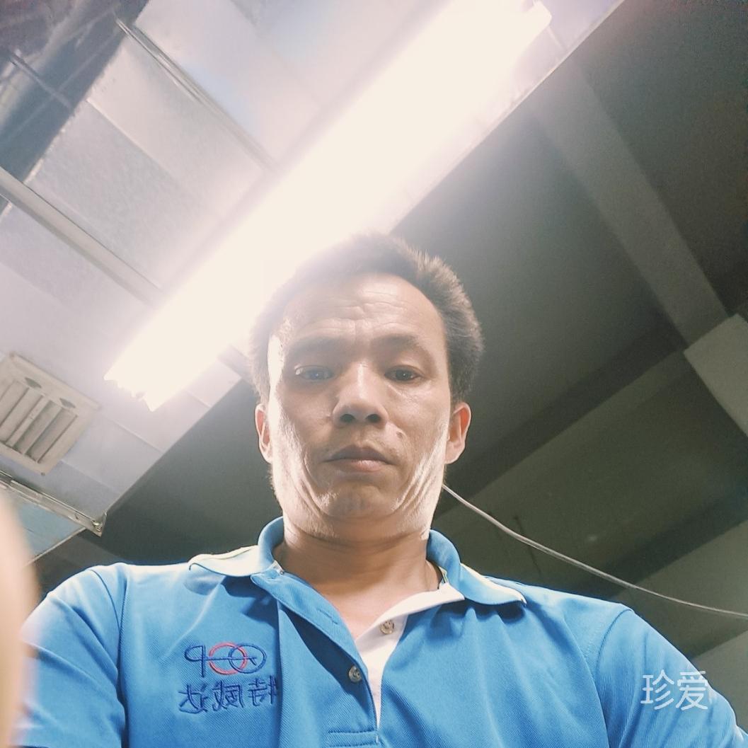 真爱最爱