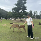 依蘿