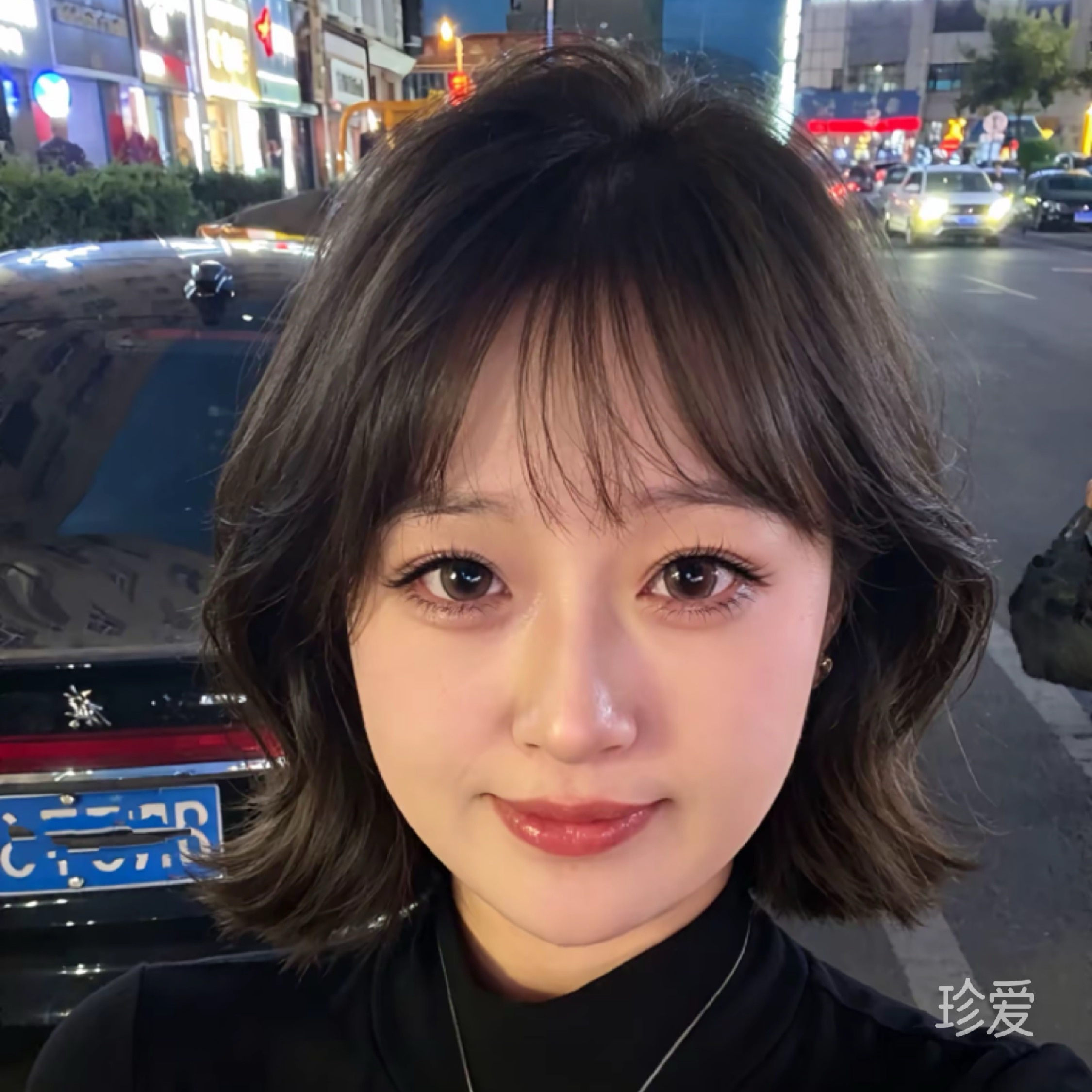飞花若飞雪