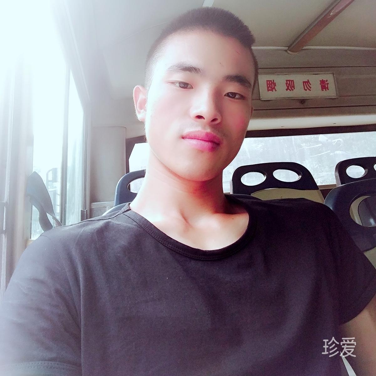 清风悉悉