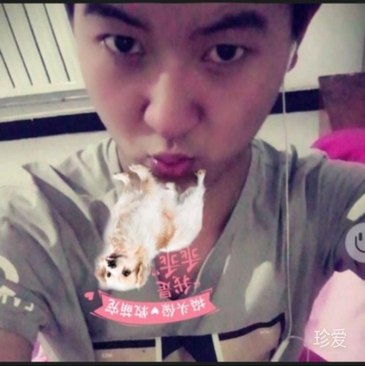 我的那个她钕在哪