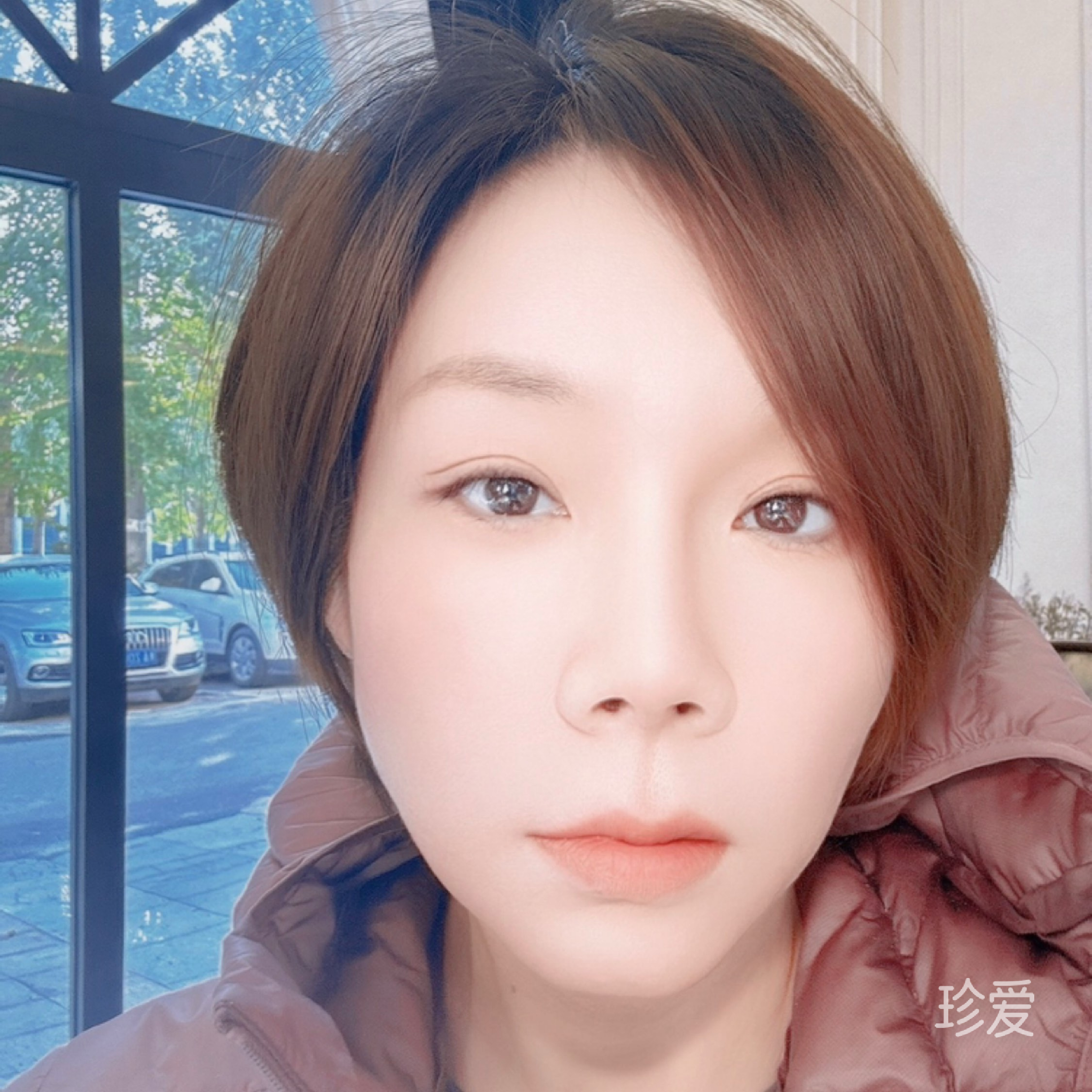 芷苇